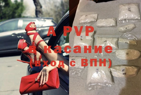 ECSTASY Вяземский