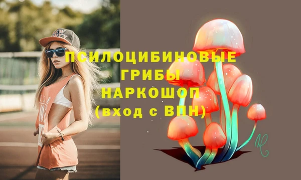 амфетамин Горнозаводск