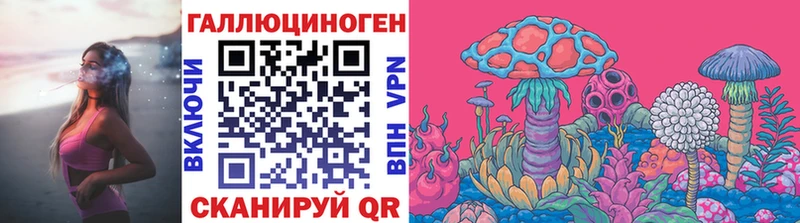 ОМГ ОМГ   Данков  Галлюциногенные грибы Psilocybine cubensis 